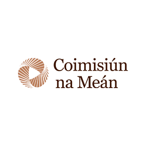 Coimisiún na Meán, Ireland