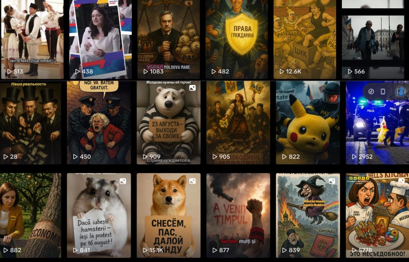 Newsletter #2 Moldova Elections photo 2 Newsletter #2 Moldova Elections photo 2