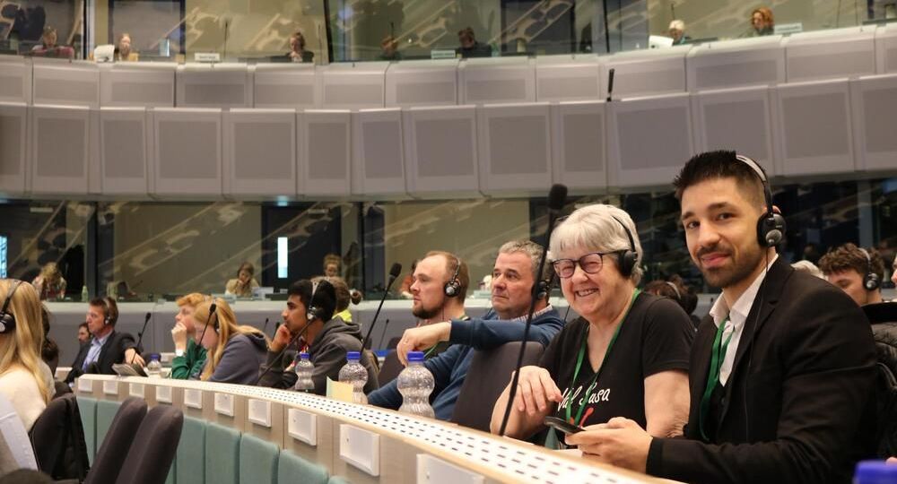 Disinformation - theme of the European Civil Panel